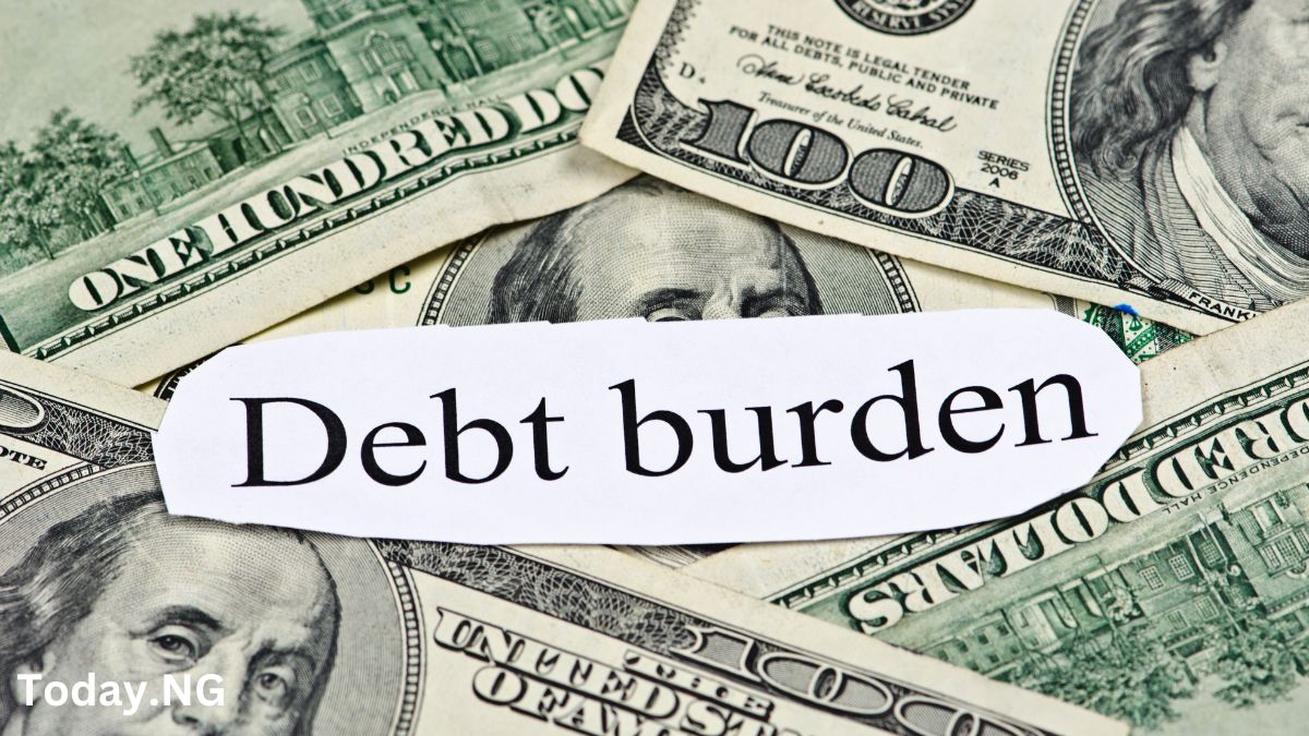 10 African Countries with the Least Debt Burden in 2024